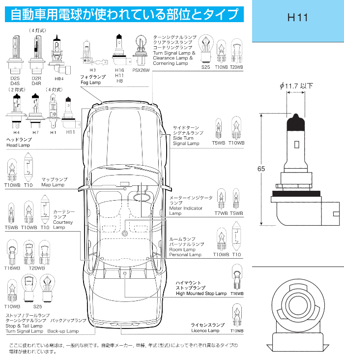 H11バルブイメージ、自動車用電球が使われている部位とタイプ