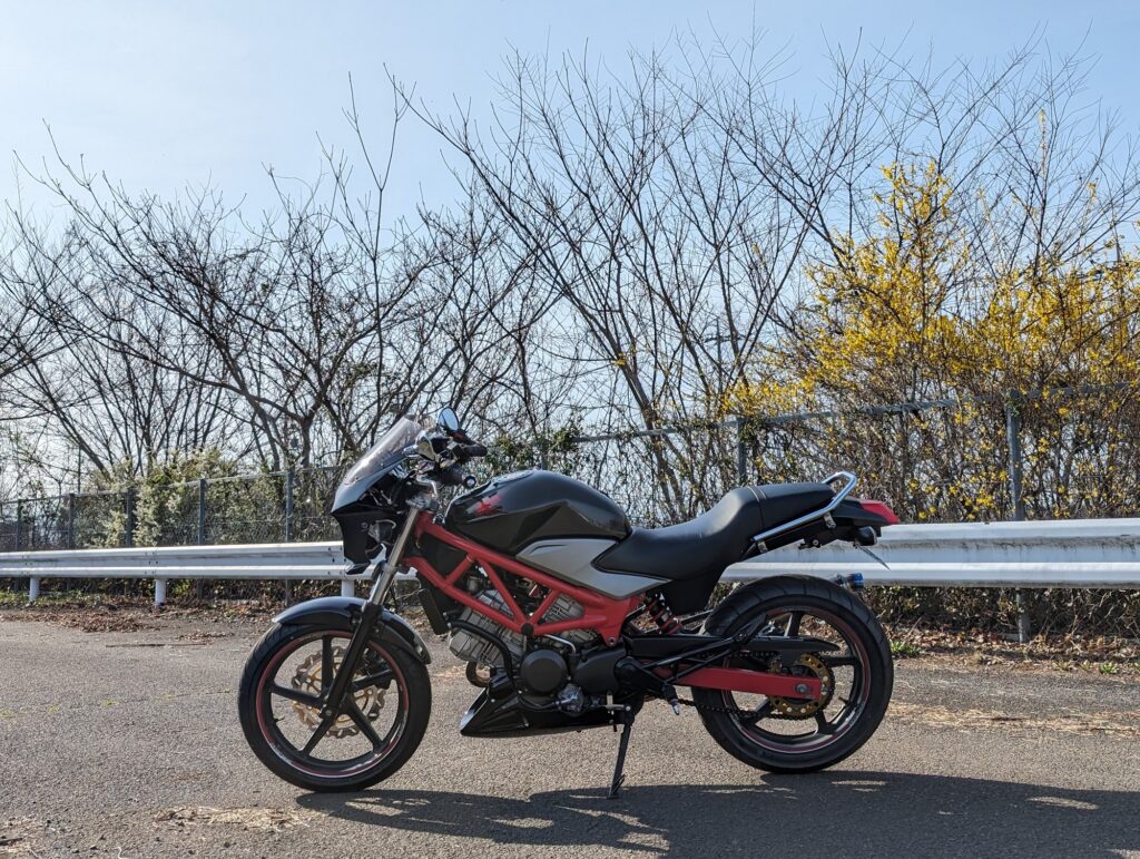 路上に停車するVTR250