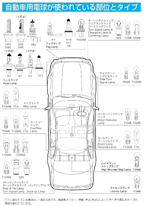 自動車用電球が使われている部位とタイプ