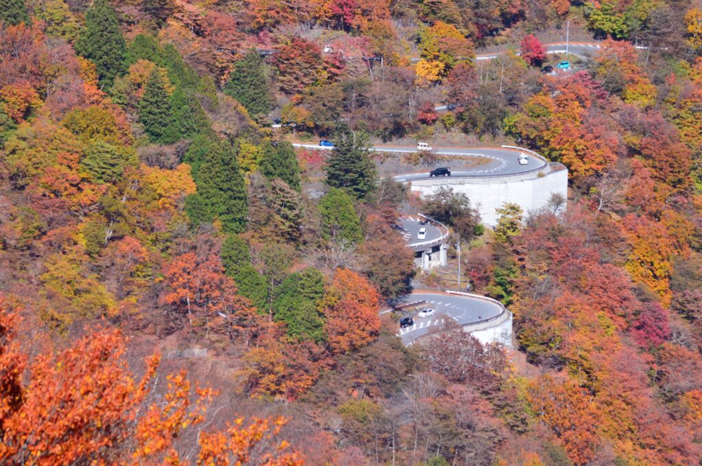 紅葉といろは坂