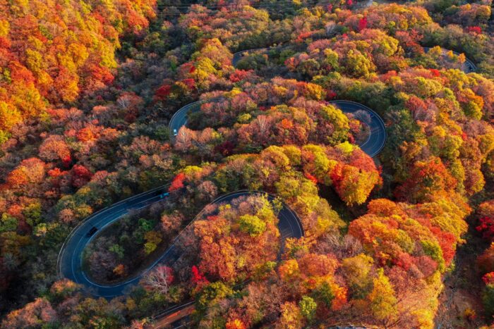【2025年最新版】いろは坂は紅葉・GWに渋滞する！混雑状況や回避方法、ドライブ・紅葉のおすすめスポットも紹介_アイキャッチ