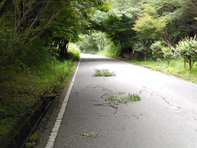 風で飛ばされた枝のイメージ