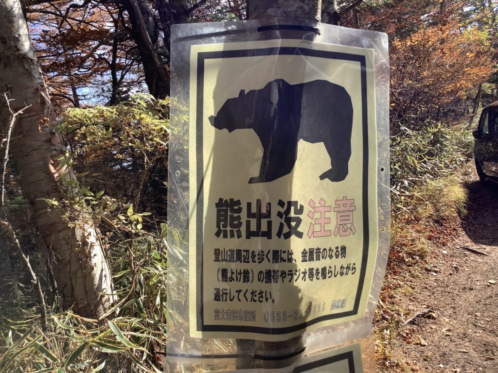 近年、熊の出没が増えている理由