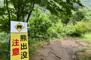 車中泊・キャンプで熊に遭遇しないための6つの対策