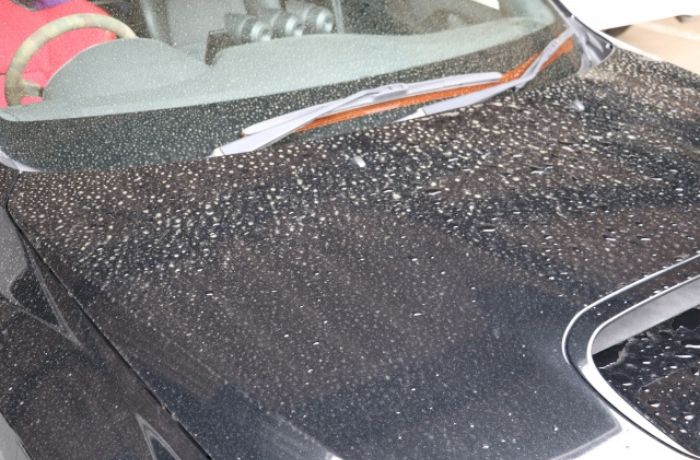 花粉シミによって塗装が劣化した黒い車のボンネット