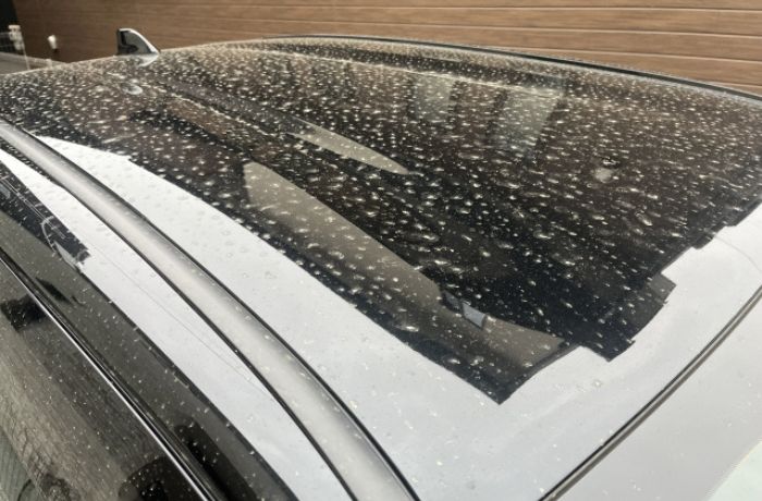 車の塗装に花粉汚れがついている様子(ルーフ)