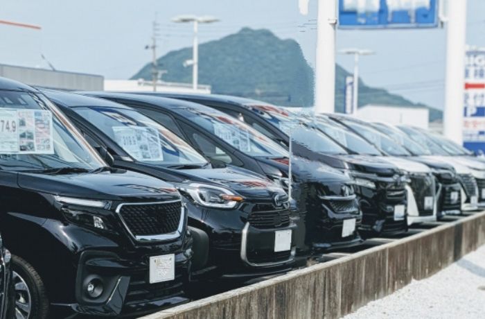 販売店に並んでいる中古車