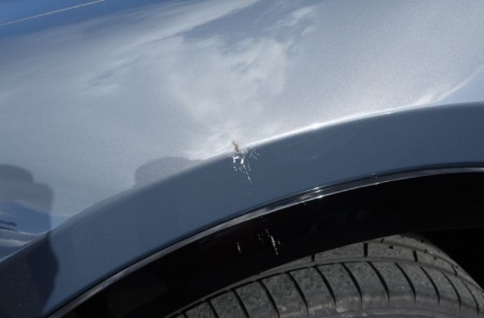 車のボディに鳥のフンがついている様子