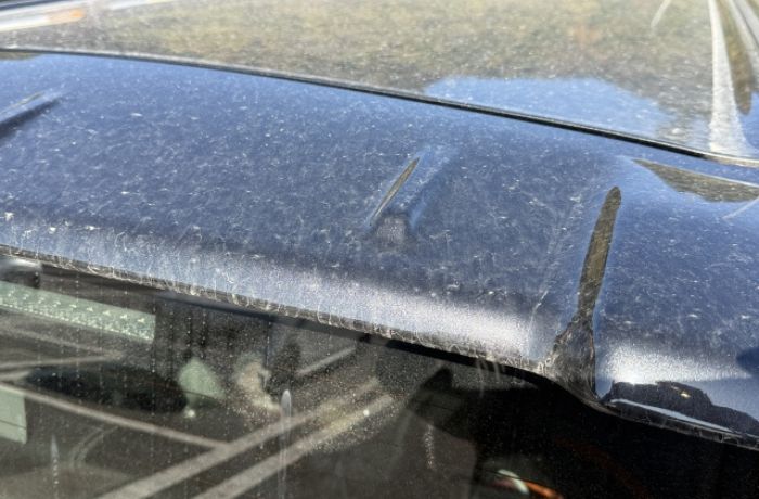 花粉や黄砂によって汚れている黒い車の屋根