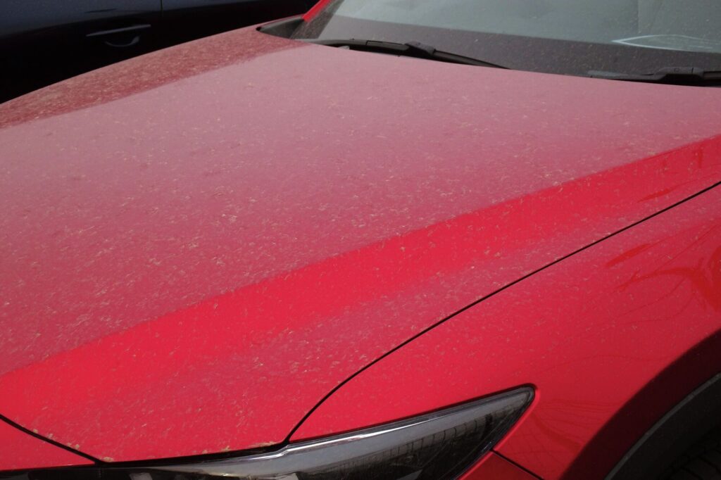 洗車してもすぐ汚れるのはなぜ？原因や汚れの種類、汚れにくくする対策を解説_アイキャッチ