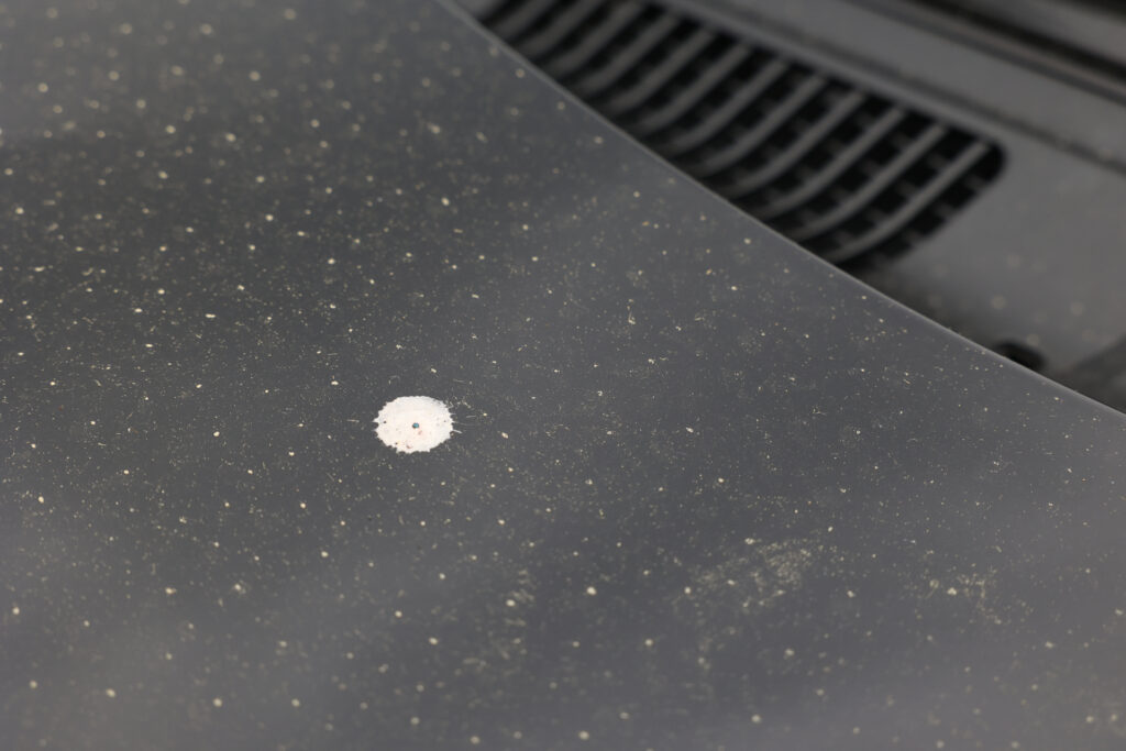 鳥のフンが付着した車体（黒）