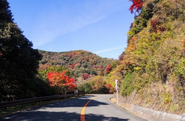 養老渓谷の紅葉を楽しむドライブコース