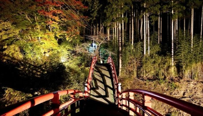 養老渓谷の紅葉ライトアップ情報