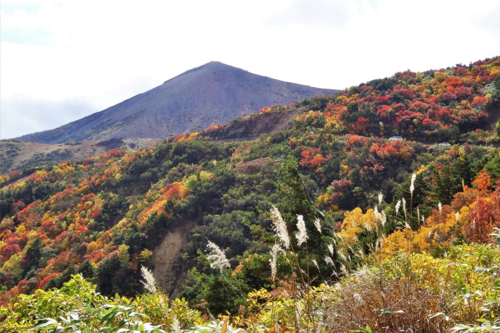 天狗の庭付近の紅葉
