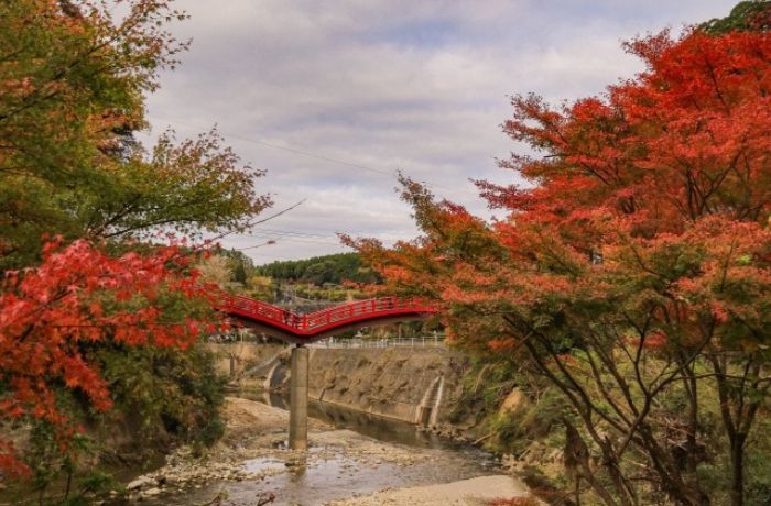 養老渓谷の観音橋と紅葉