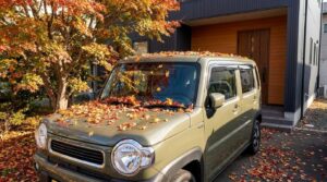 木の下に駐車している車に落ち葉が積もっている様子