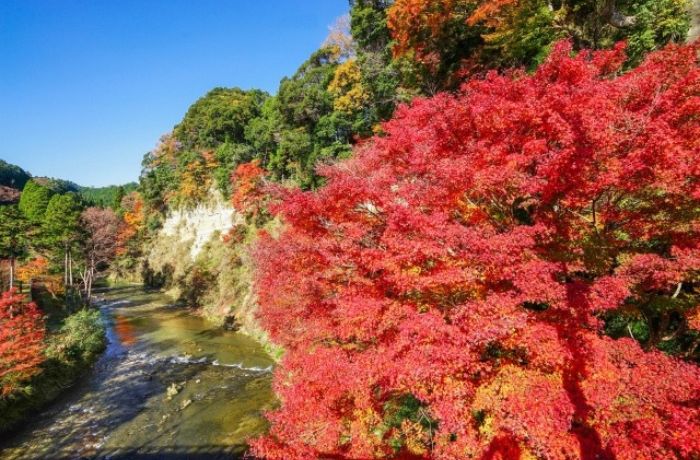養老渓谷の懸崖境と紅葉